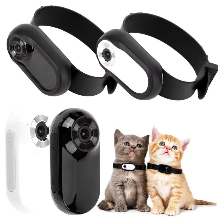 Camara de collar inalámbrico HD 1080P para perro y gato